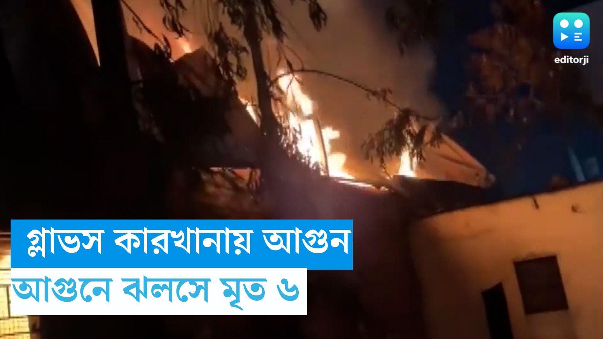 Maharashtra Massive Fire: মহারাষ্ট্রের গ্লাভস কারখানায় আগুন, ঝলসে মৃত্যু ছয় শ্রমিকের 