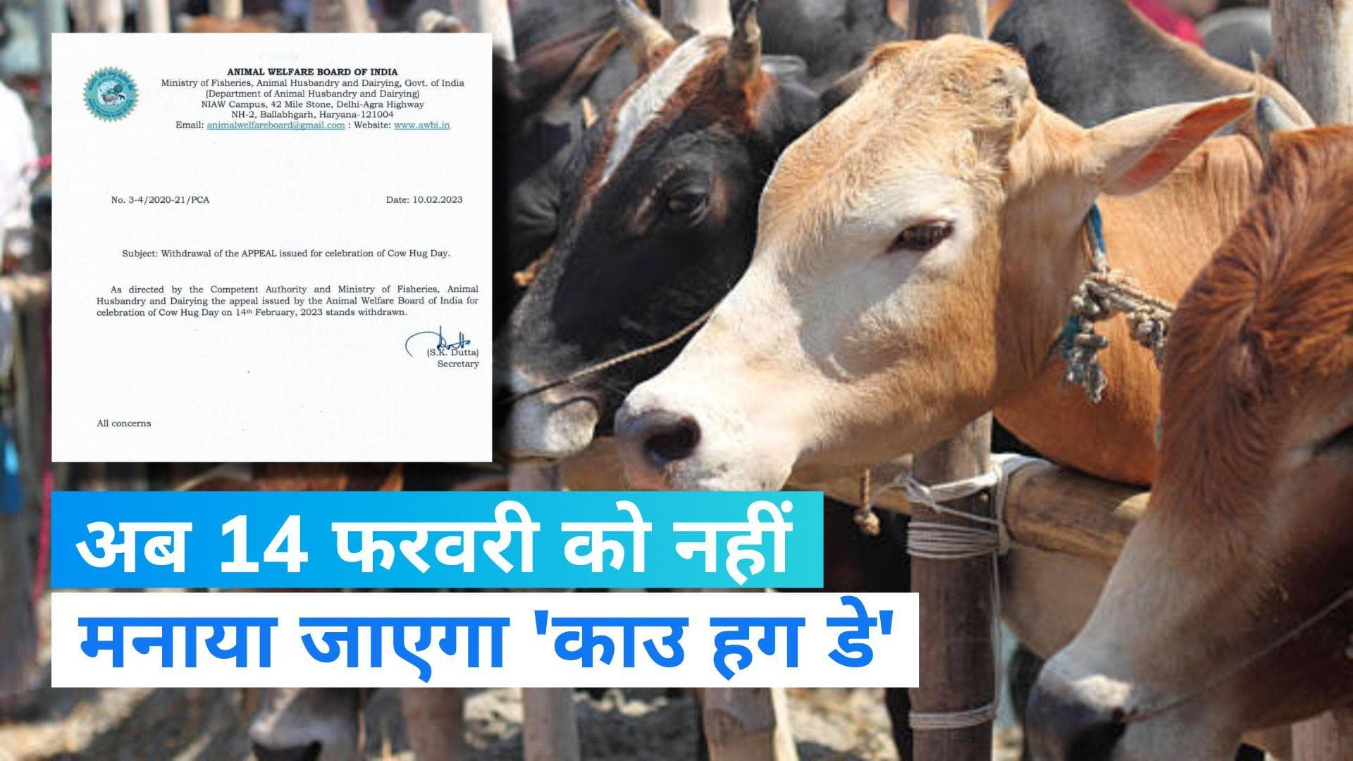 Cow Hug Day: 14 फरवरी को नहीं मनाया जाएगा 'काउ हग डे', विरोध के बीच सरकार ने वापस ली अपील
