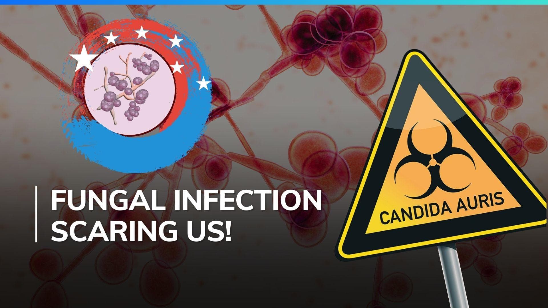 'Candida Auris' infection poses serious healthcare threat in US, all you need to know 