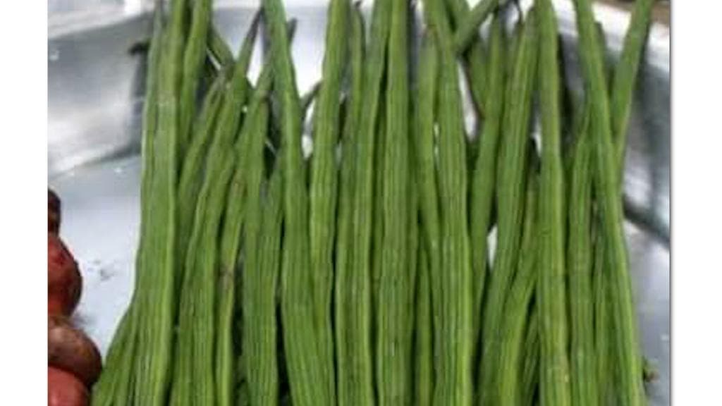 Moringa Oleifera: দাম্পত্য অশান্তি? সুখ ফেরাতে পারে সজনে ফুল