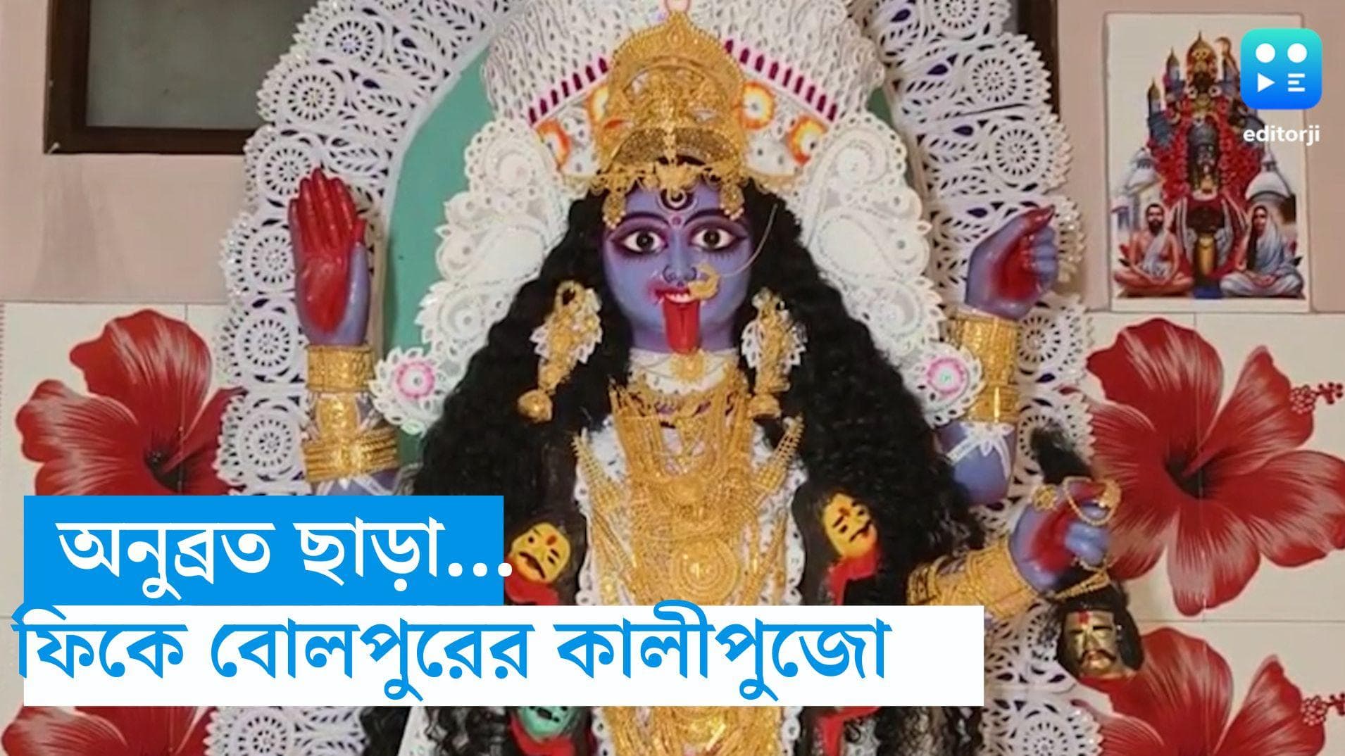 Anubrata Mondal: প্রতিমার গায়ে সোনার বদলে ইমিটেশনের গয়না, অনুব্রত ছাড়া তৃণমূল কার্যালয়ের পুজোর রঙ ফিকে 