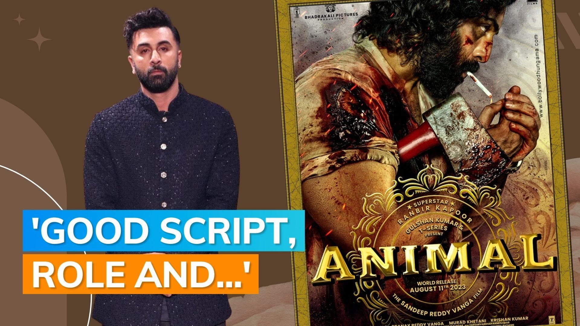 Ranbir Kapoor reveals why he said yes to 'Animal'
