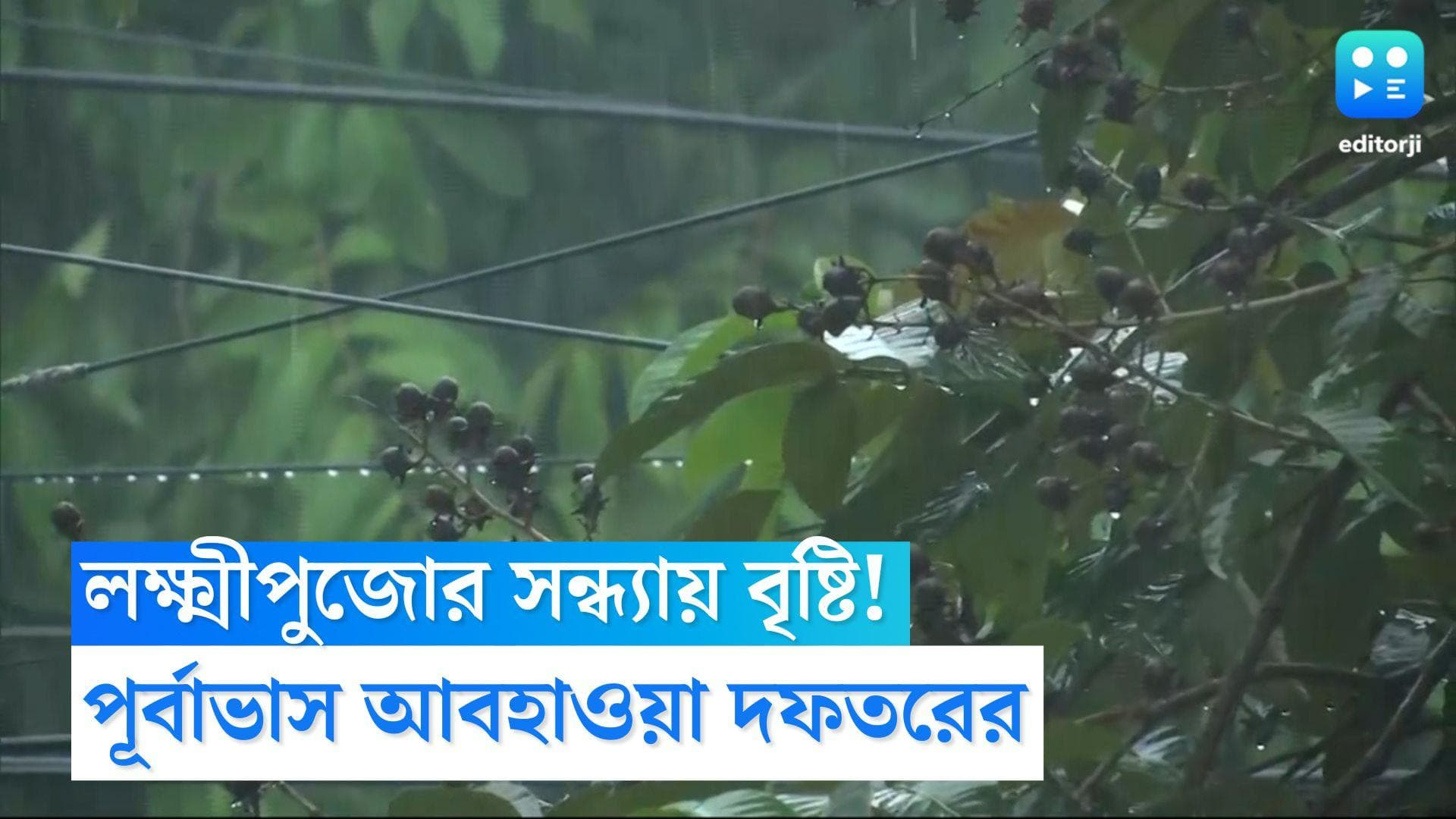 Laxmi Puja Weather:  কোজাগরী লক্ষ্মী পুজোর সন্ধ্যায়ও পিছু ছাড়ছে না বৃষ্টি, ভিজবে দুই বঙ্গই 