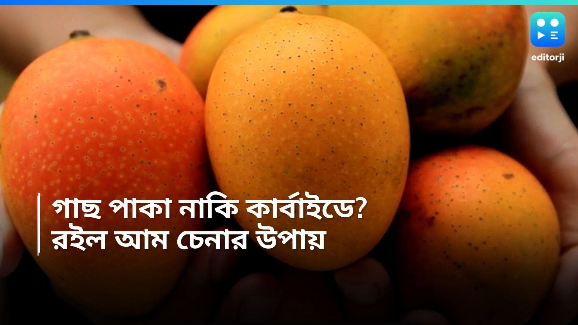  Ripened Mangoes: গাছ পাকা আম, আর কার্বাইডে পাকানো আম! কেনার সময় চিনবেন কীভাবে?