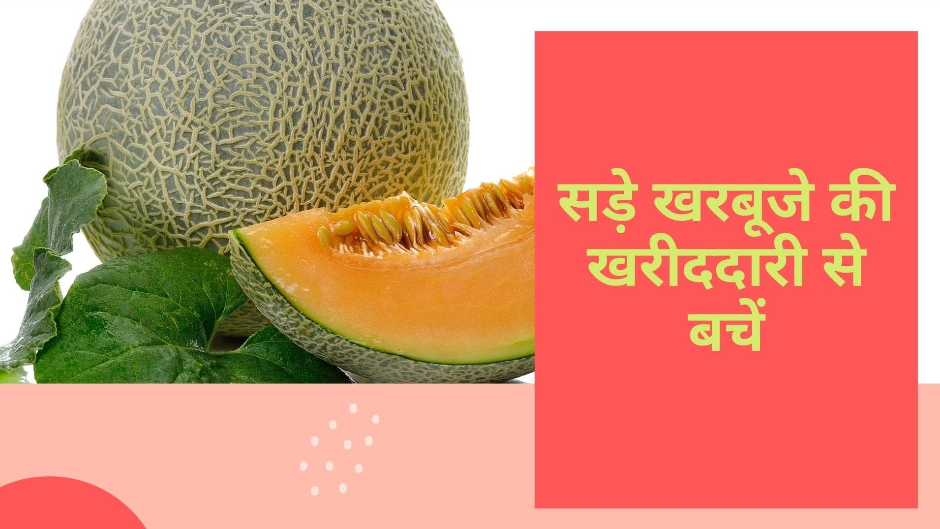 Summer Fruits: अच्छे खरबूजे की करें ऐसे पहचान, हमेशा मिलेगा पका और मीठा खरबूजा