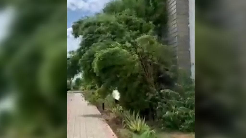 Gulab resurrects as Cyclone Shaheen, may not hit Indian coast