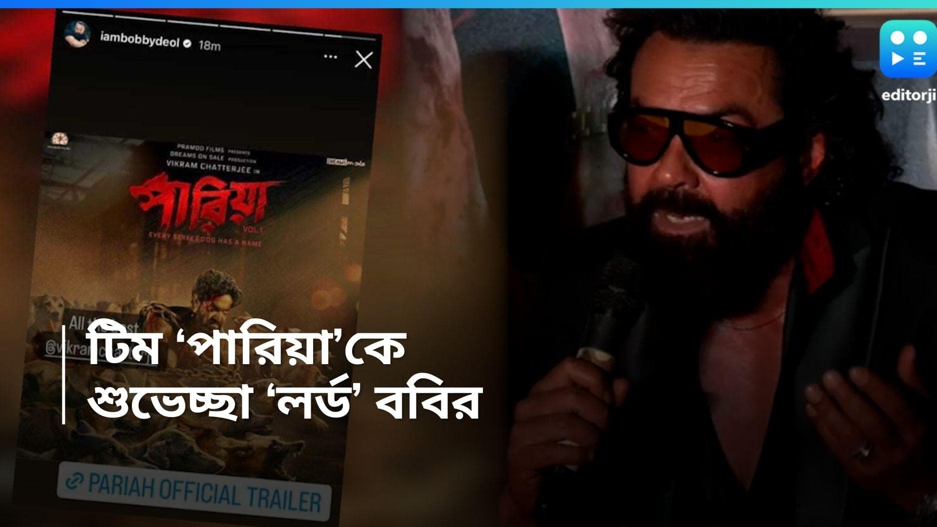 Bobby Deol: পথকুকুরদের পাশে এবার ববি দেওল, 'পারিয়ার' গোটা টিমকে শুভেচ্ছা জানালেন 'লর্ড'