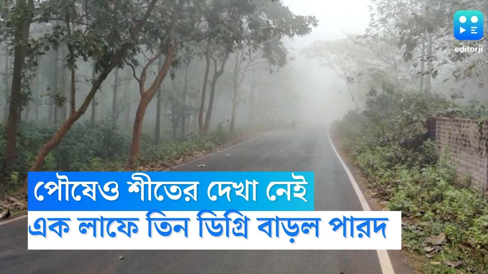 West Bengal weather Update: পৌষেও শীতের দেখা নেই, এক ধাক্কায় তিন ডিগ্রি বাড়ল তাপমাত্রার পারদ 