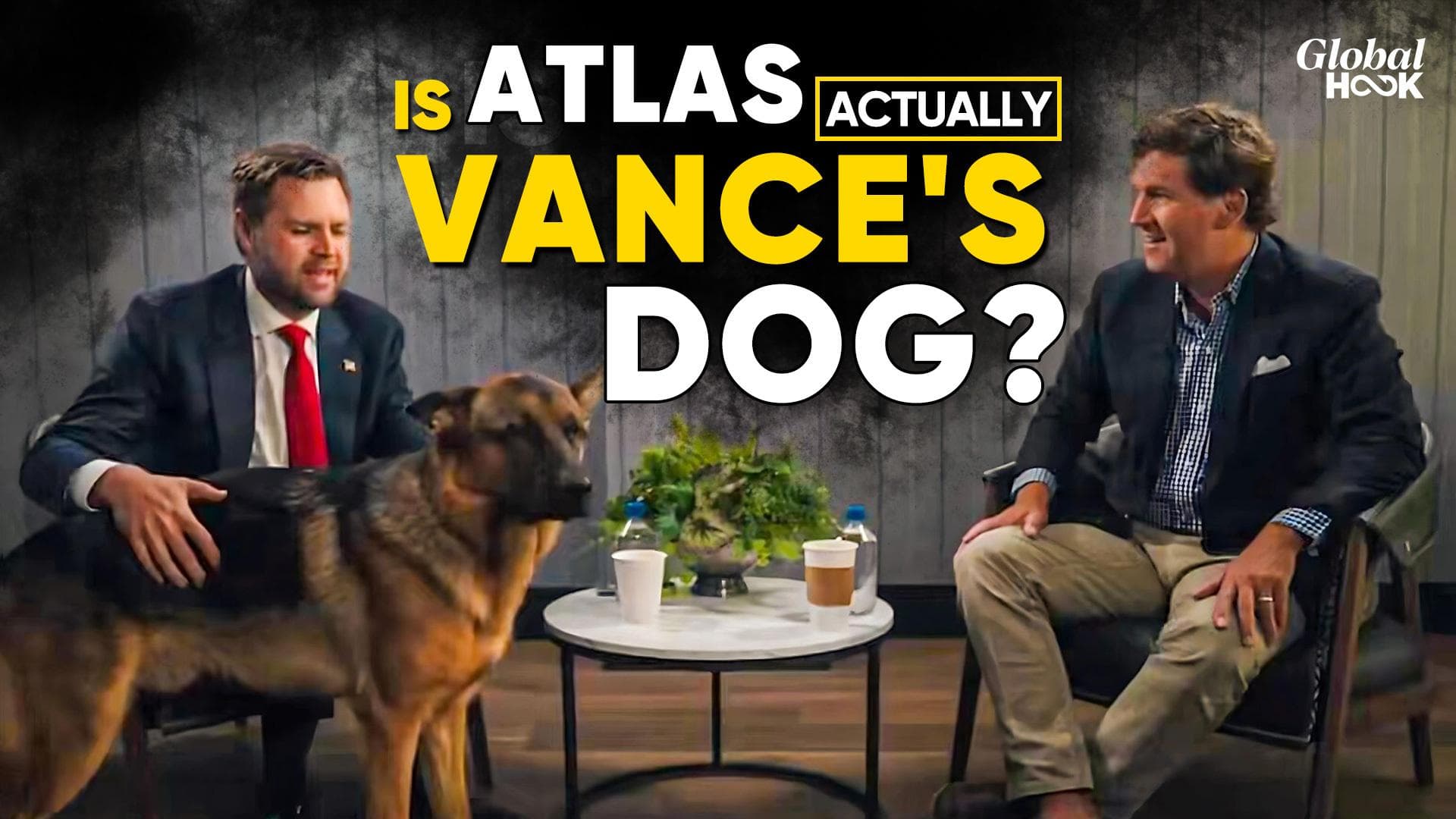 Did JD Vance Rent A Dog To Seem Like A Dog Person? Video Goes Viral