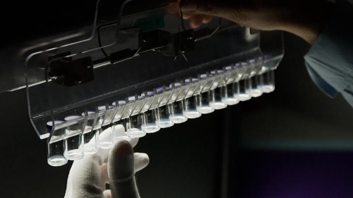 Pfizer vaccine for Omicron to be ready in March for approval: CEO