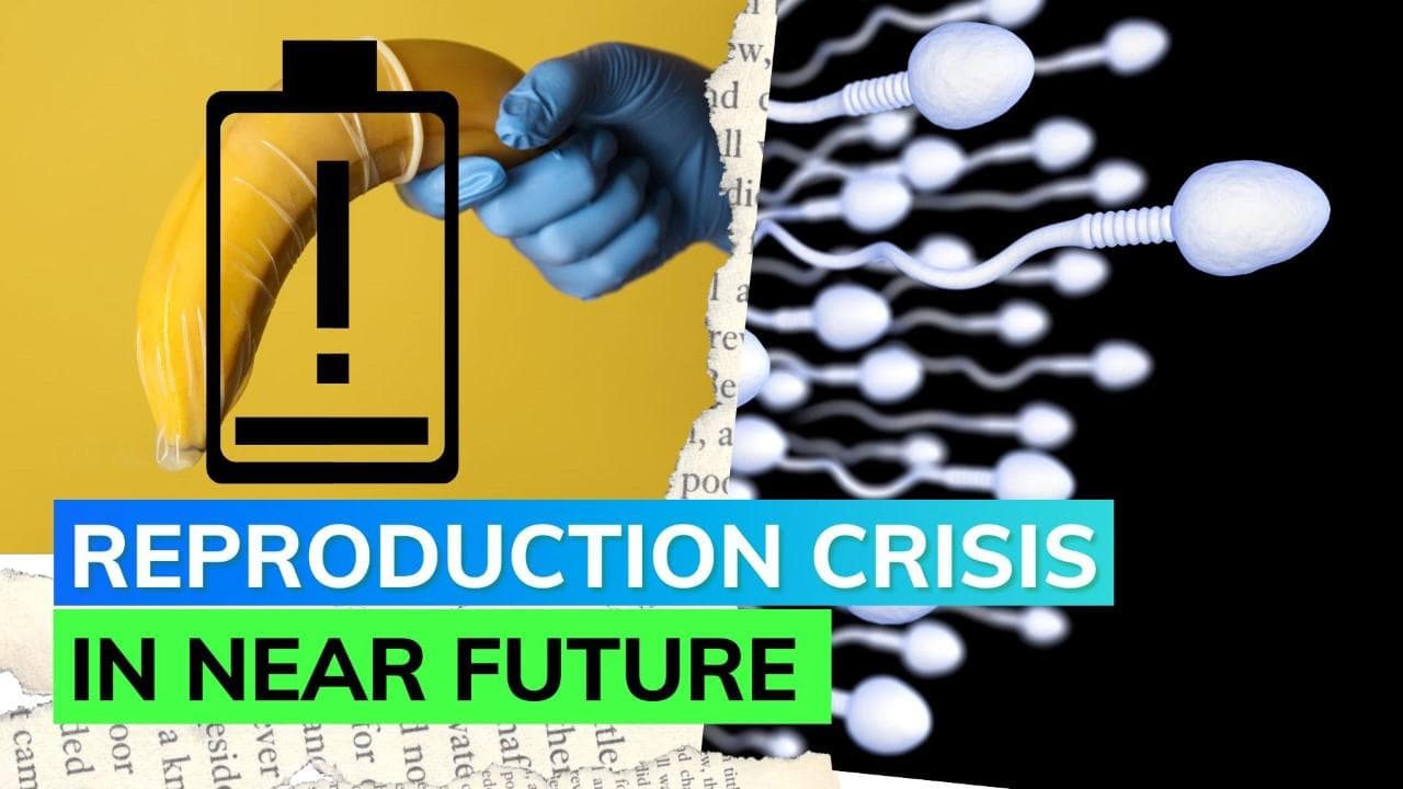 International Men's Day: New study raises concern about significant decline in sperm count in men