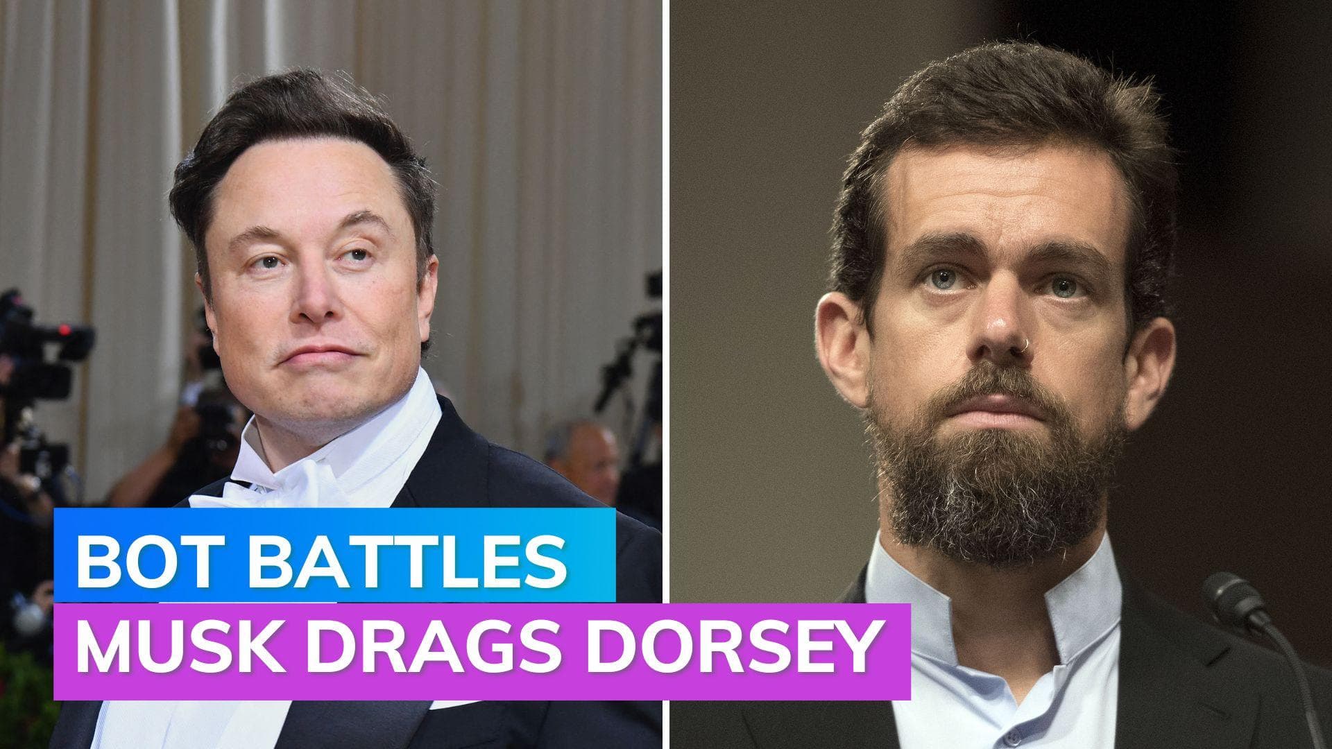 Twitter bot battle: Elon Musk drags former CEO Jack Dorsey to court