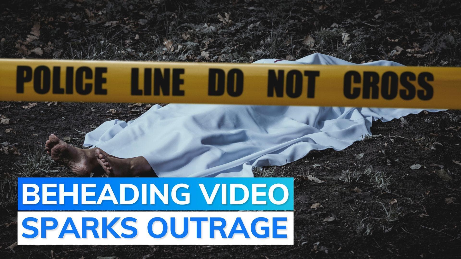 Ukraine probes video purported to show soldier's beheading