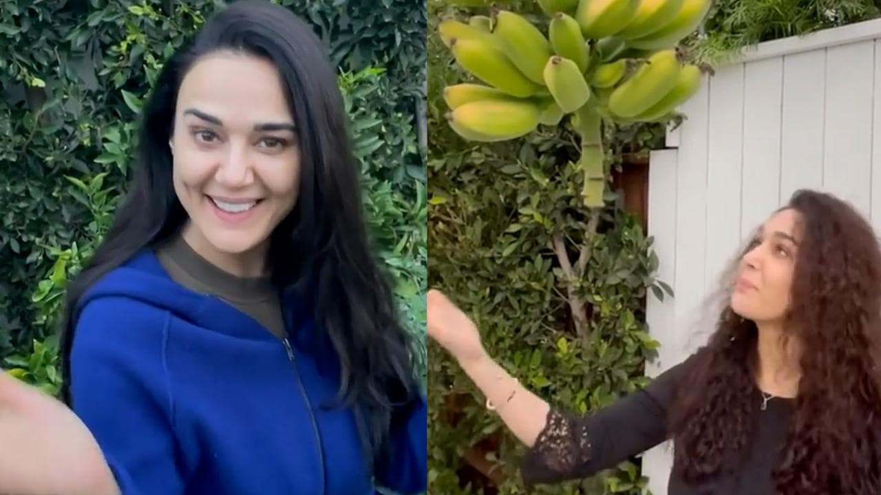 Preity Zinta ने कराई अपने किचन गार्डन की सैर, फल-सब्जियां उगा रही हैं डिंपल गर्ल