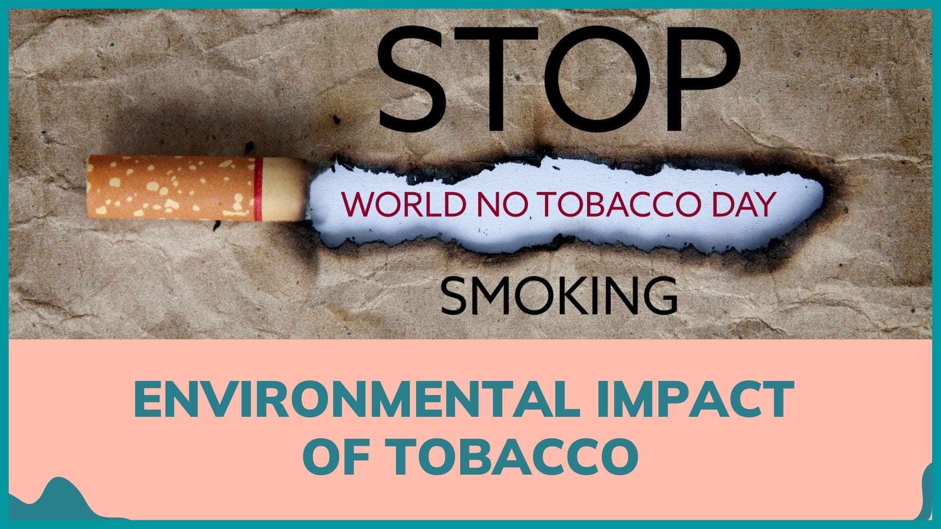 World No Tobacco Day 2022: Know how tobacco not only harms your health but also the environment 