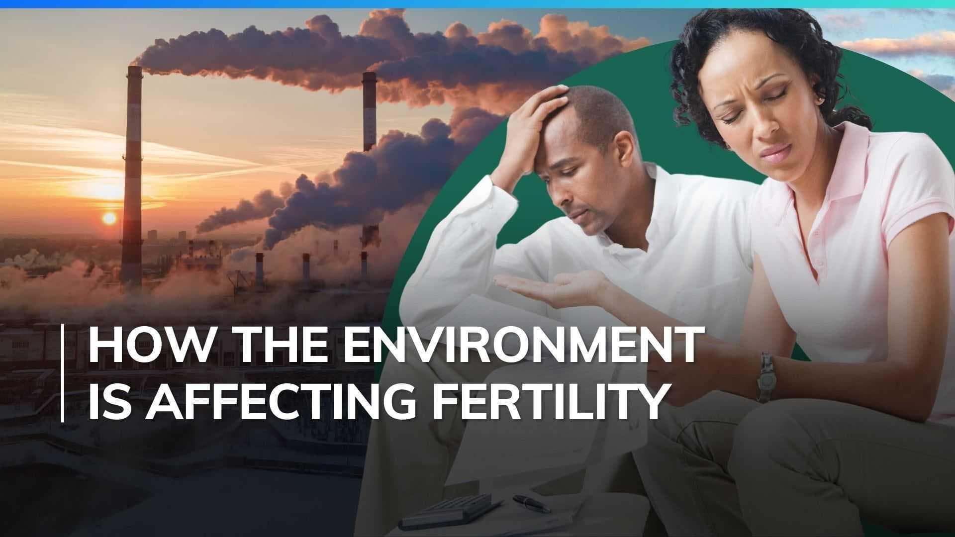 The role of environmental pollution on fertility: How pollution, plastic and smoking are harming you