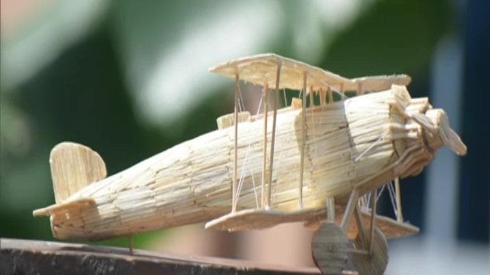 Indian Air Force Day पर ओडिशा के सास्वत ने पेश किया माचिस की तीली से बना विमान