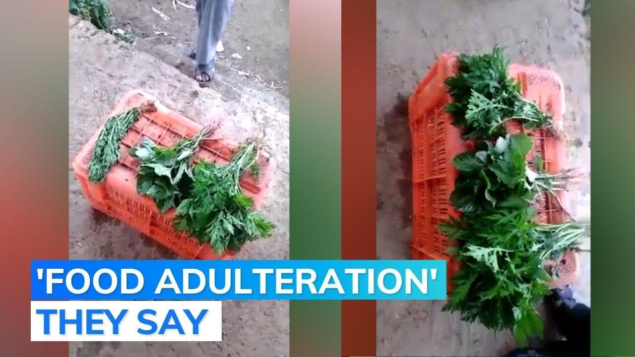 Watch: stale veggies appear freshly plucked after being dipped in 'foamy' water