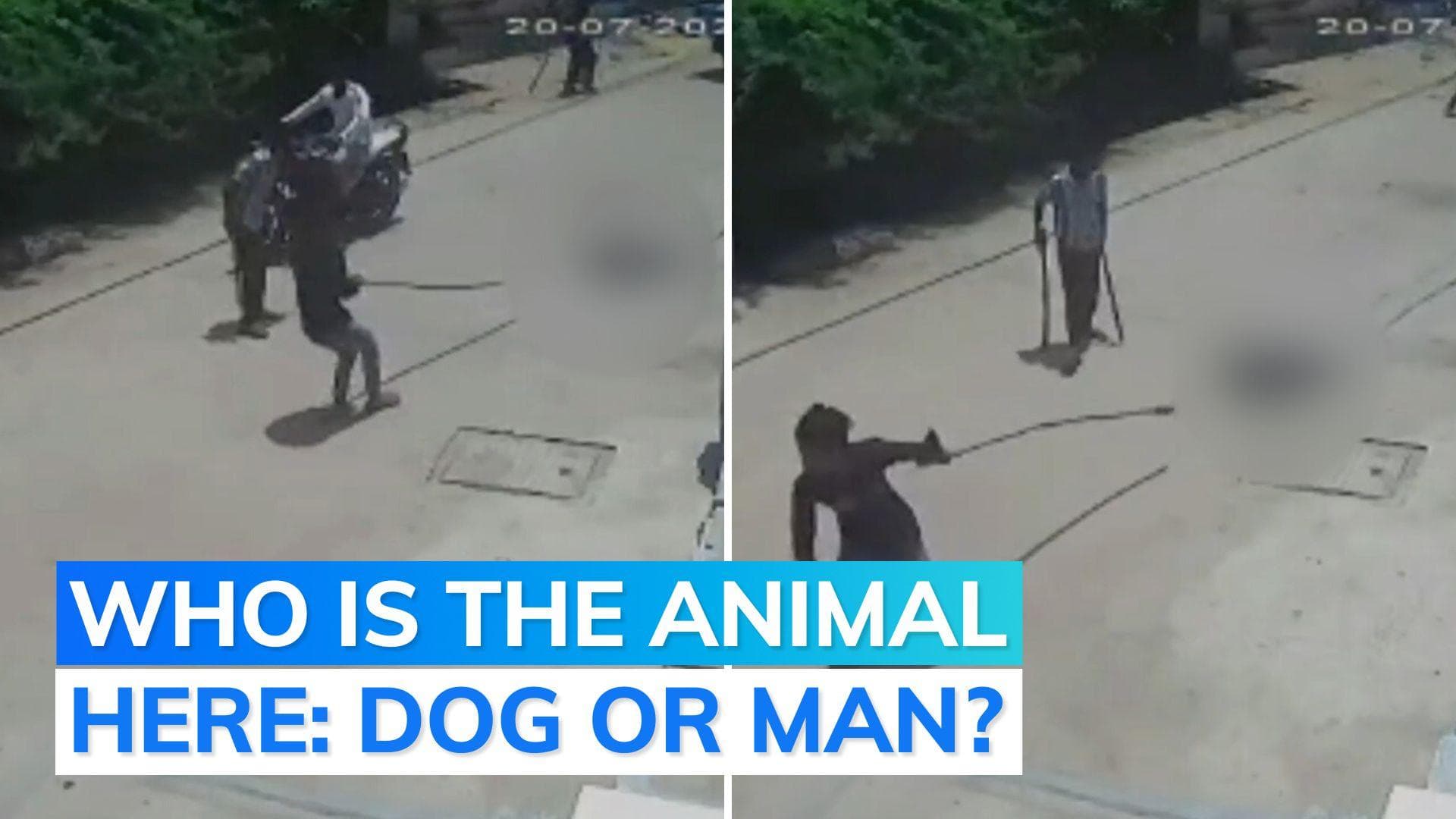 Gwalior horror video: dog killed with axe, eyes gouged out, thrown into a drain for barking