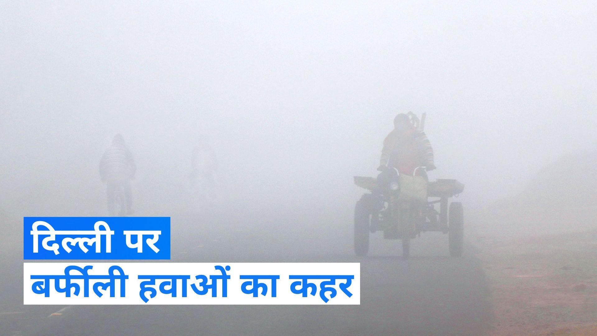 Weather Report : दिल्ली में आज भी कोल्ड डे, घने कोहरे ने ट्रेनों और उड़ानों पर डाला असर