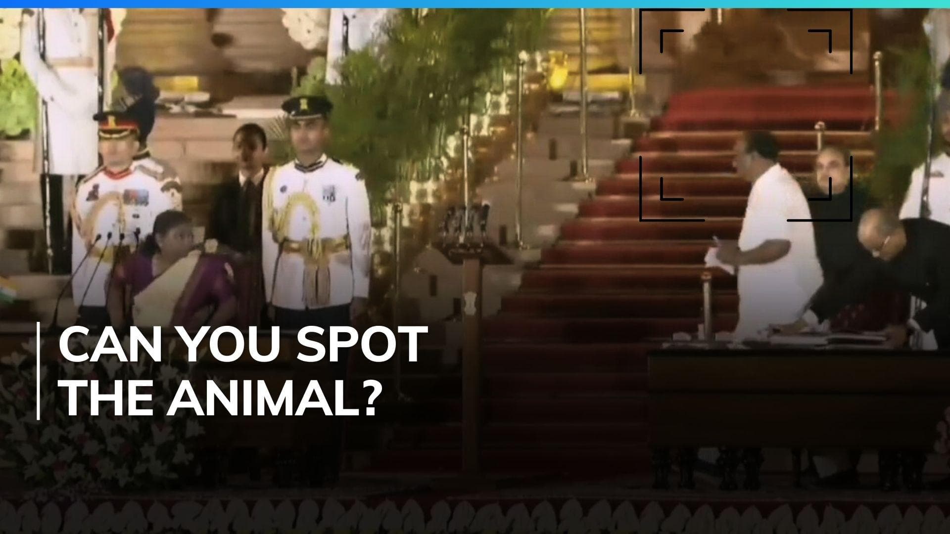 Leopard spotted in Rashtrapati Bhavan? video of animal casually strolling during oath ceremony goes viral