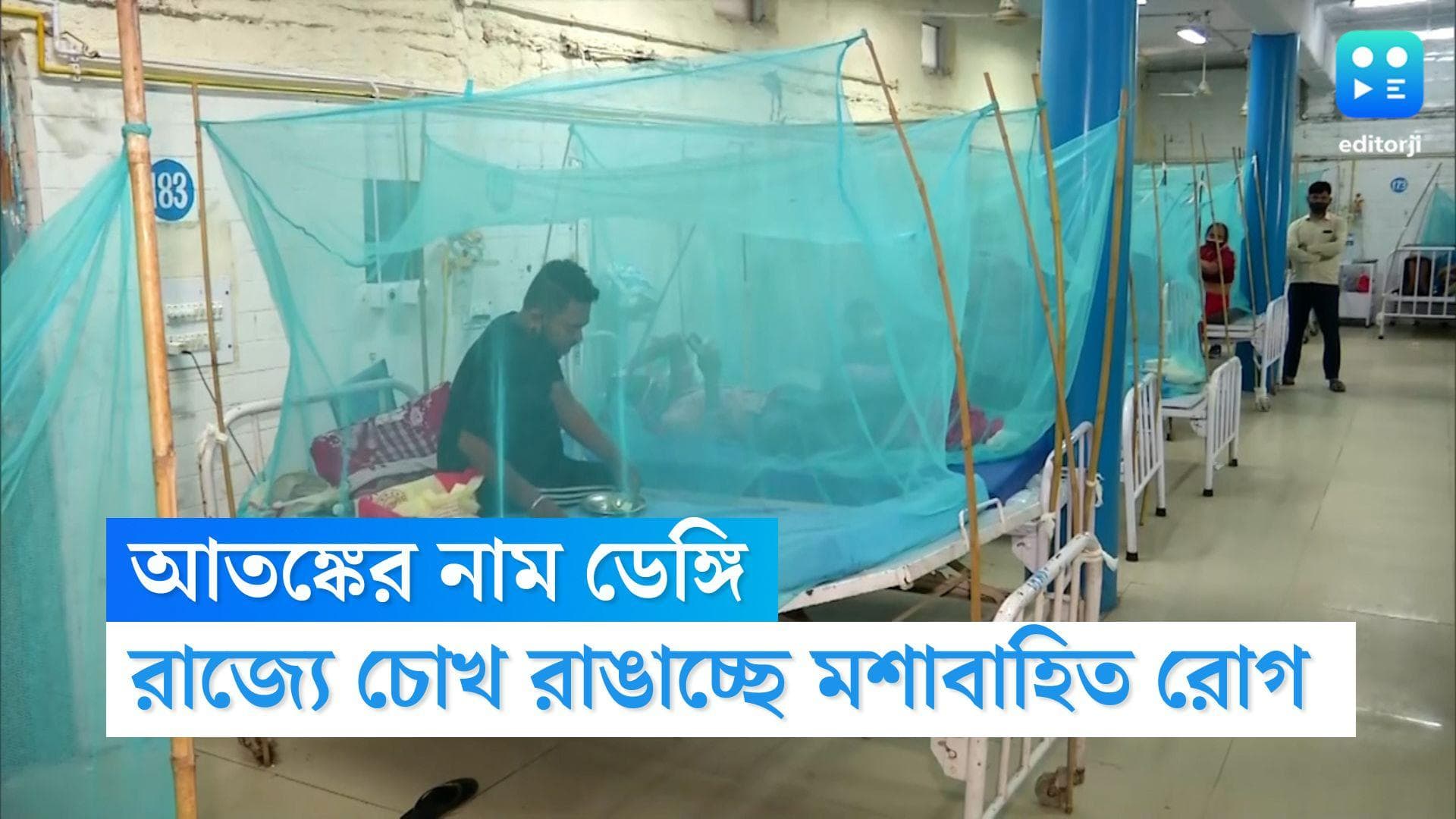 Dengue Cases in West Bengal: রাজ্য জুড়ে চোখ রাঙাচ্ছে ডেঙ্গি, সেপ্টেম্বরের গোড়ায় ভয় ধরাচ্ছে পরিসংখ্যান