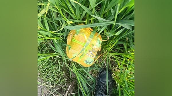 Punjab: over 3 kg heroin seized in BSF-STF joint operation