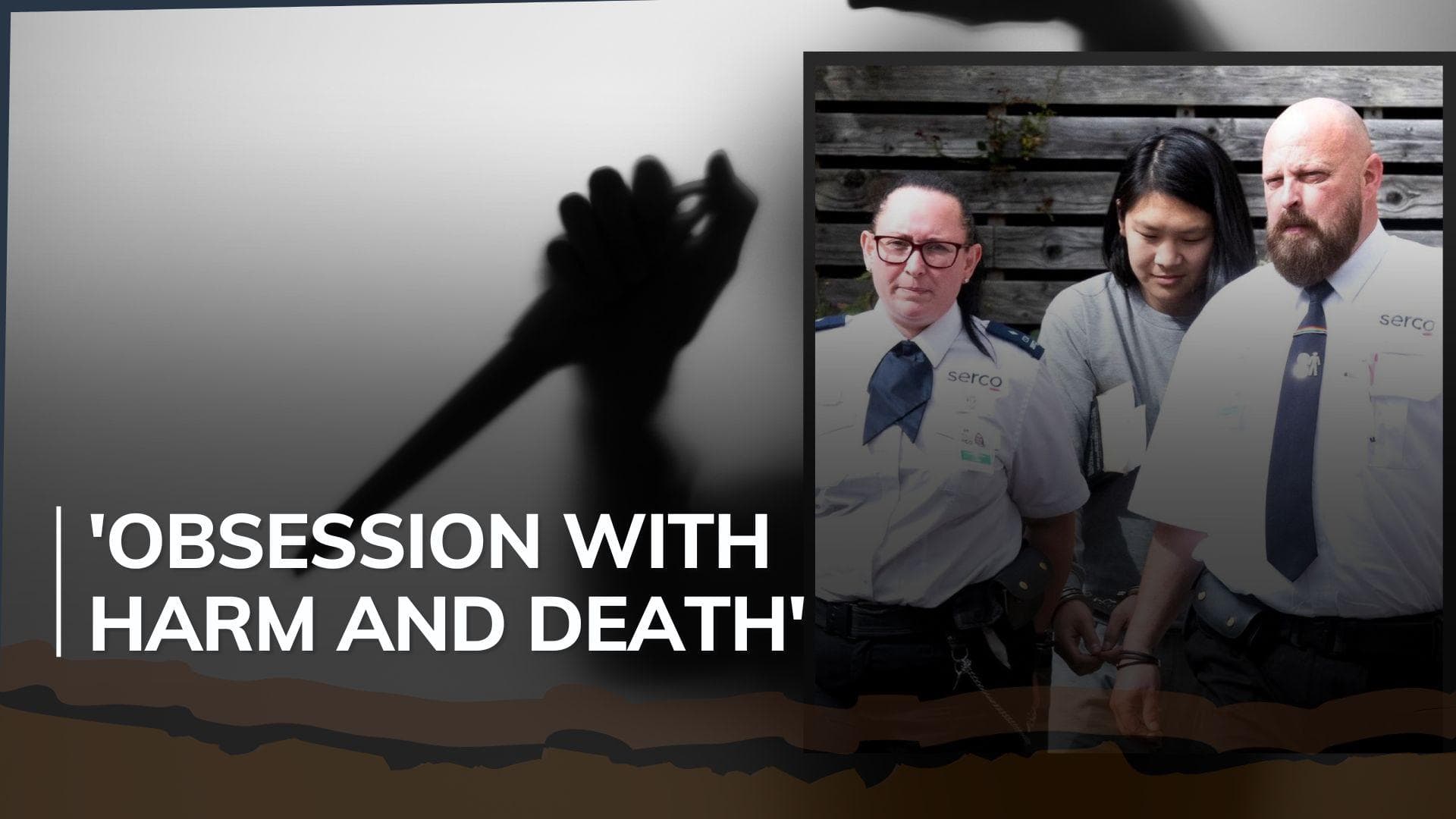 'Cat killer' sentenced to life for murdering man for 'sexual pleasure'  