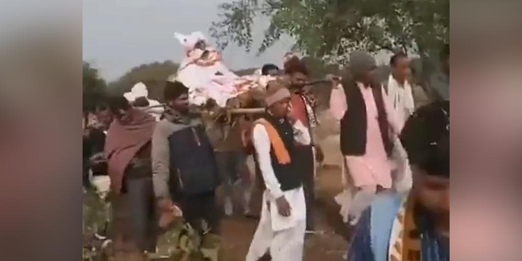 Watch: hundreds attend monkey's funeral feast amid Covid-19 spike in Madhya Pradesh