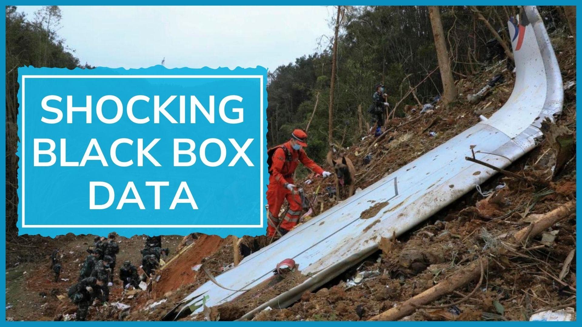 Someone in cockpit intentionally crashed Chinese plane: WSJ report