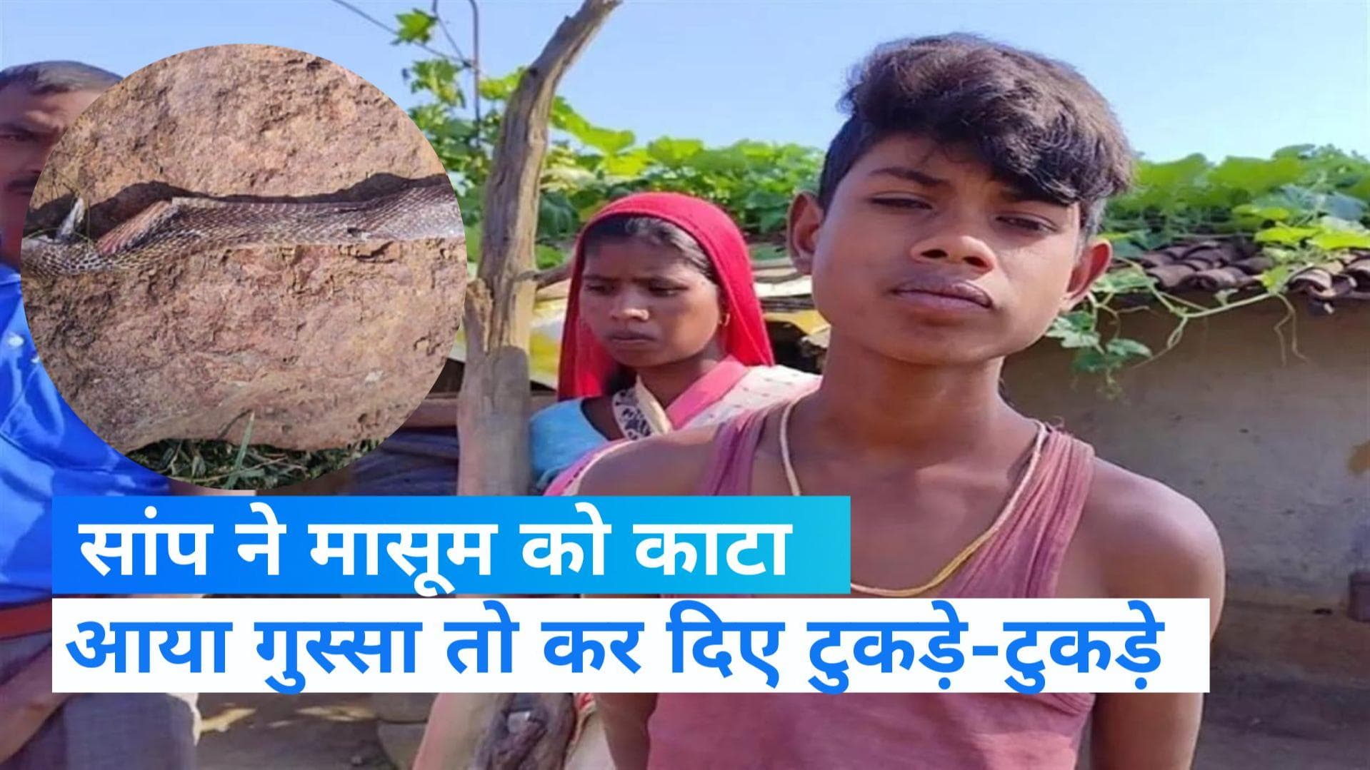 Chhattisgarh News: सांप ने काटा तो आया गुस्सा, बच्चे ने दांत से काटकर जान से मार डाला