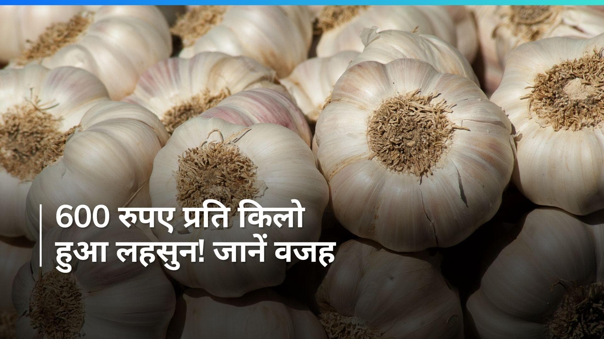 Garlic Price Surge: लहसुन ने बिगाड़ा खाने का ज़ायका, 600 रु. प्रति किलो के पार पहुँची कीमत