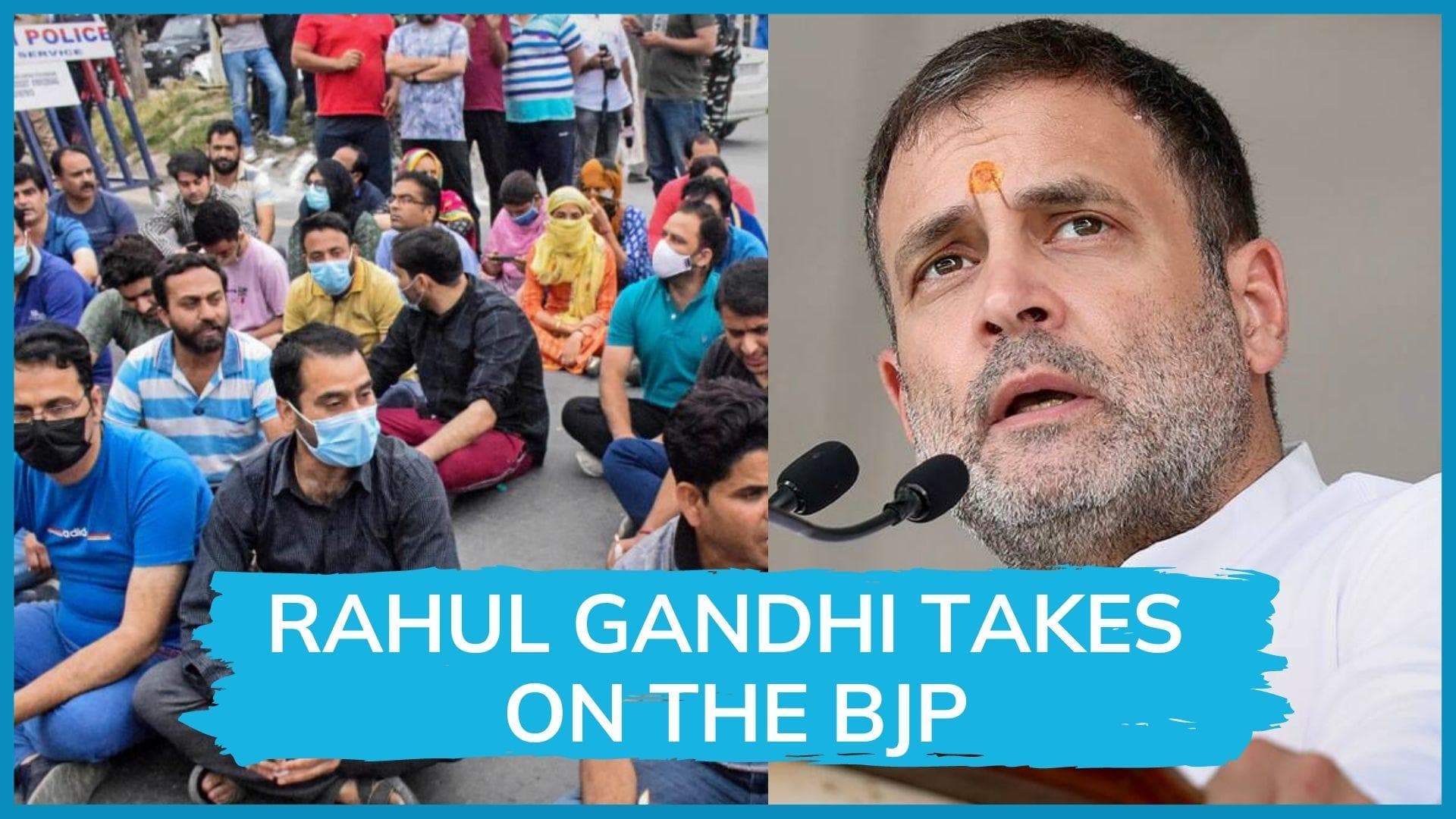 Kashmiri Pandits protesting but BJP busy celebrating 8 years of rule: Rahul Gandhi