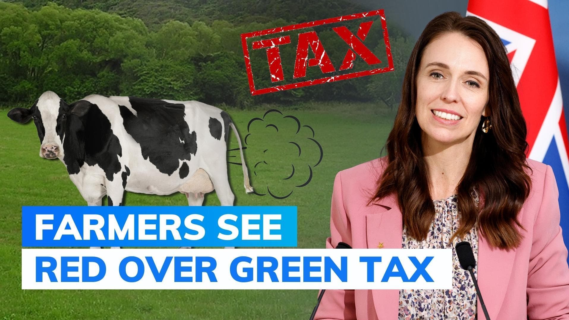 Explained: why New Zealand wants to tax animal burps & peeing