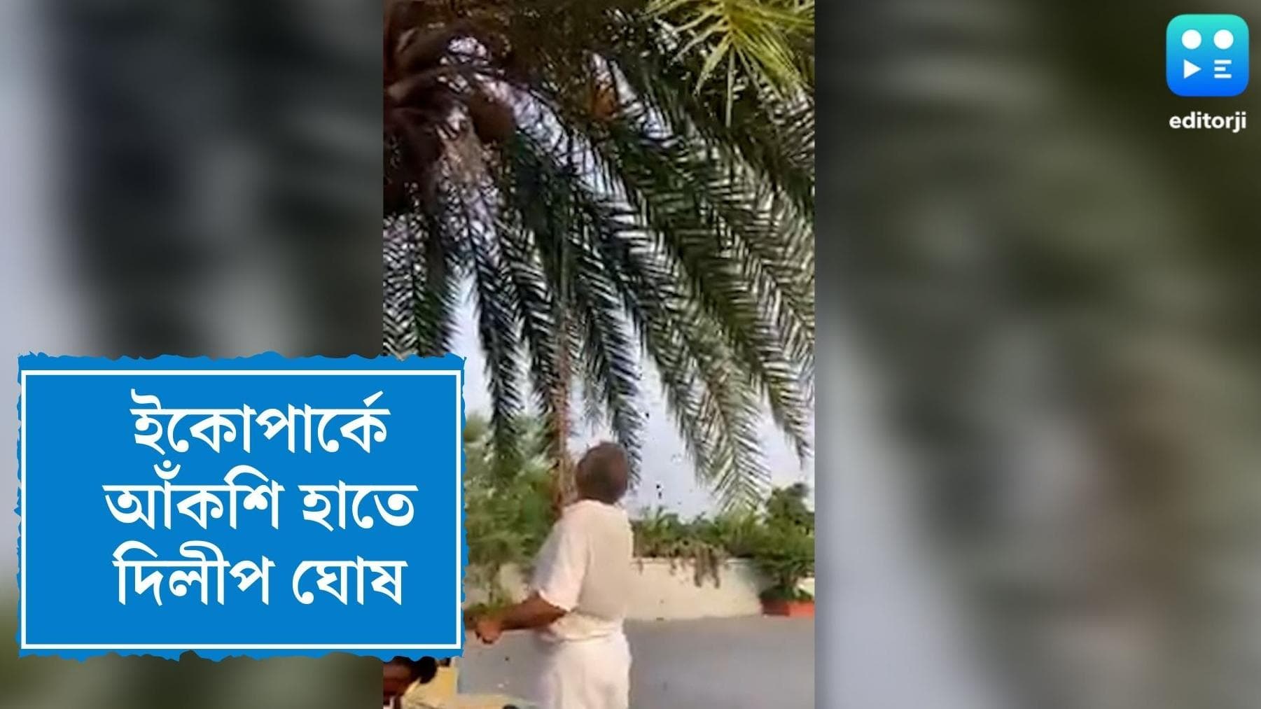 Dilip Ghosh : আঁকশি হাতে দিলীপ ঘোষ, ছুটির ইকোপার্কে খোশ মেজাজে বিজেপি সাংসদ