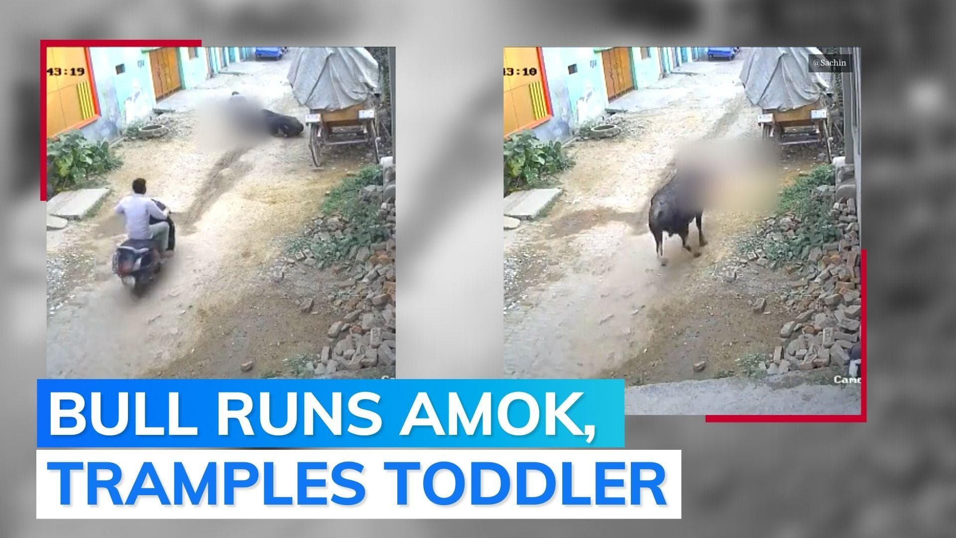 On camera: bull tramples 4-year-old child in UP's Aligarh