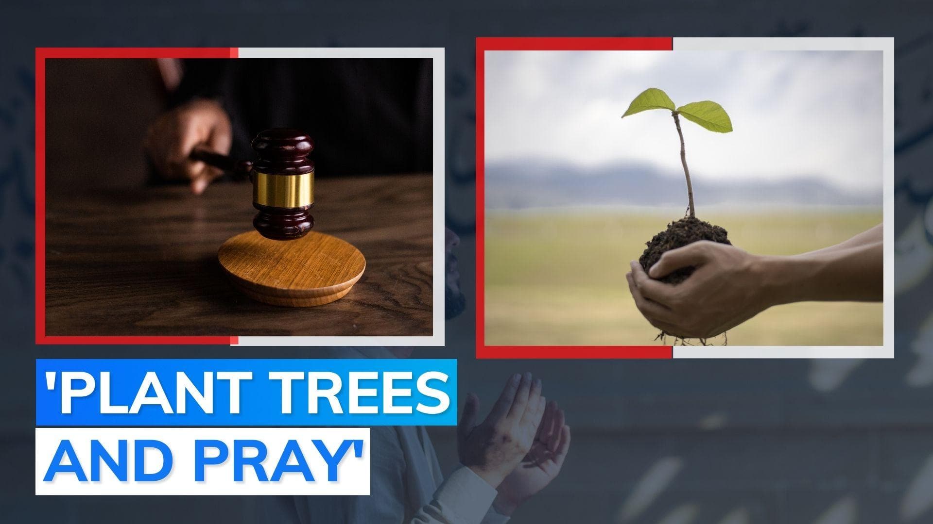 Malegaon court's unique punishment for man involved in roadside brawl