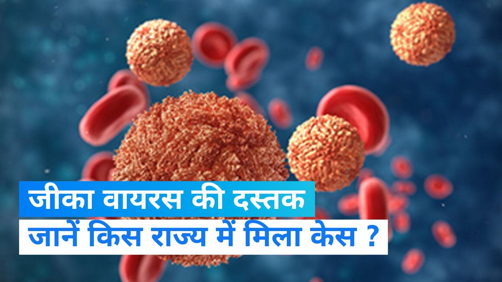 Zika virus: कर्नाटक में मिला जीका वायरस का पहला मरीज, 5 साल की बच्ची हुई संक्रमित