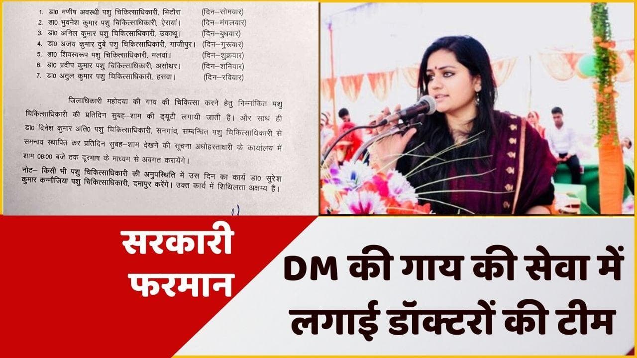 UP News: DM साहिबा के बीमार गाय की देखभाल में लगी 7 डॉक्टरों की टीम, टाइम-टेबल के साथ ड्यूटी चार्ट वायरल