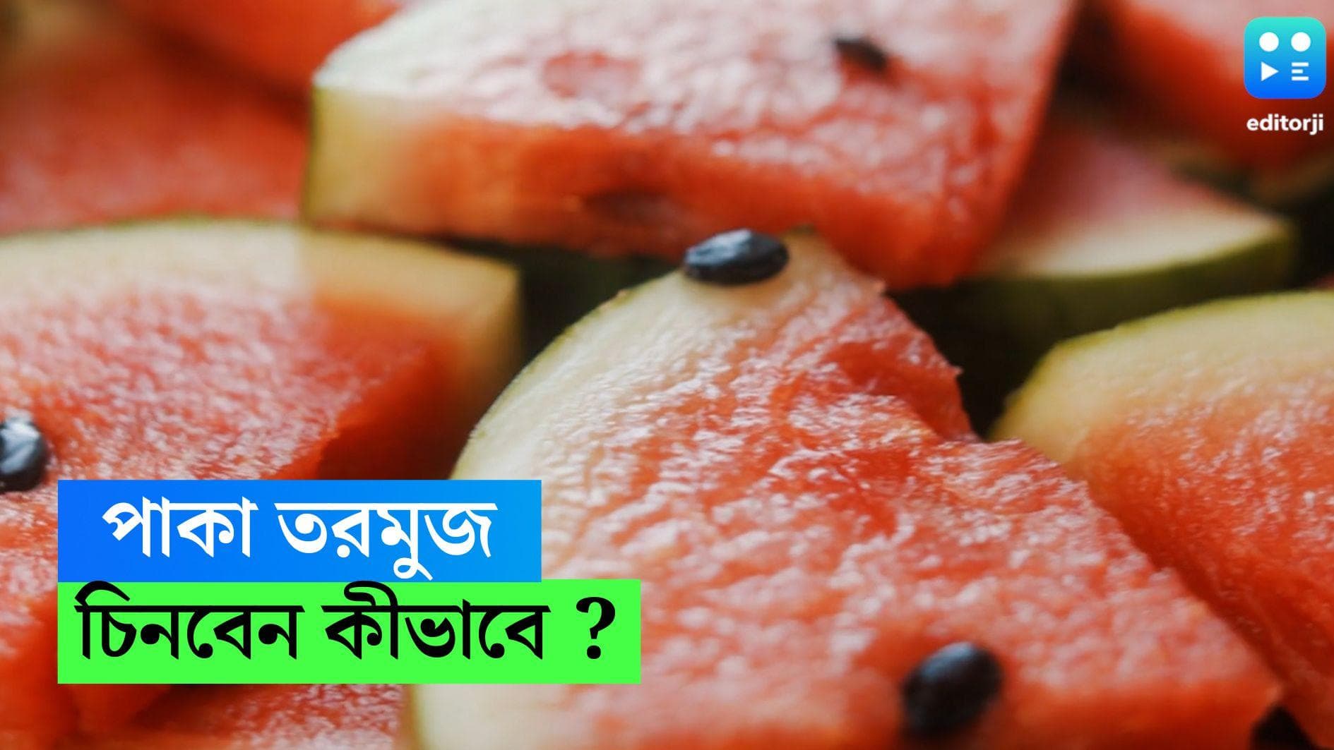 Watermelon: উপর থেকে দেখে ভাল তরমুজ চিনবেন কীভাবে? কেনার সময় মাথায় রাখুন এই টিপসগুলি 