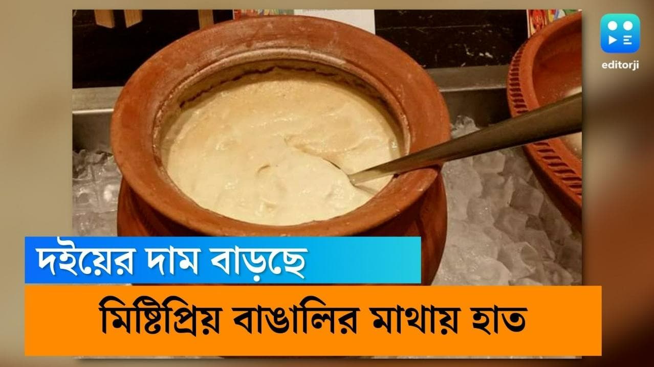 Misti Doi Price Hike: জিএসটি বসায় দাম বাড়ছে, বাঙালির পাত থেকে কি তবে বাদ পড়বে দই?