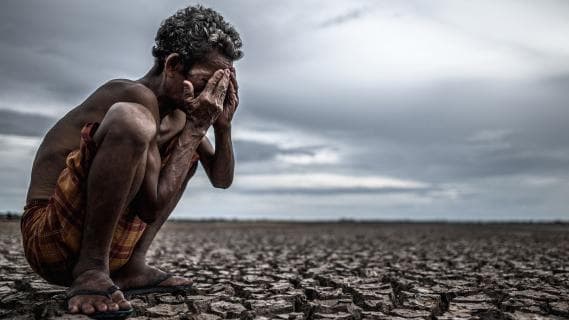 Global warming causing one-third of all global heat deaths: study