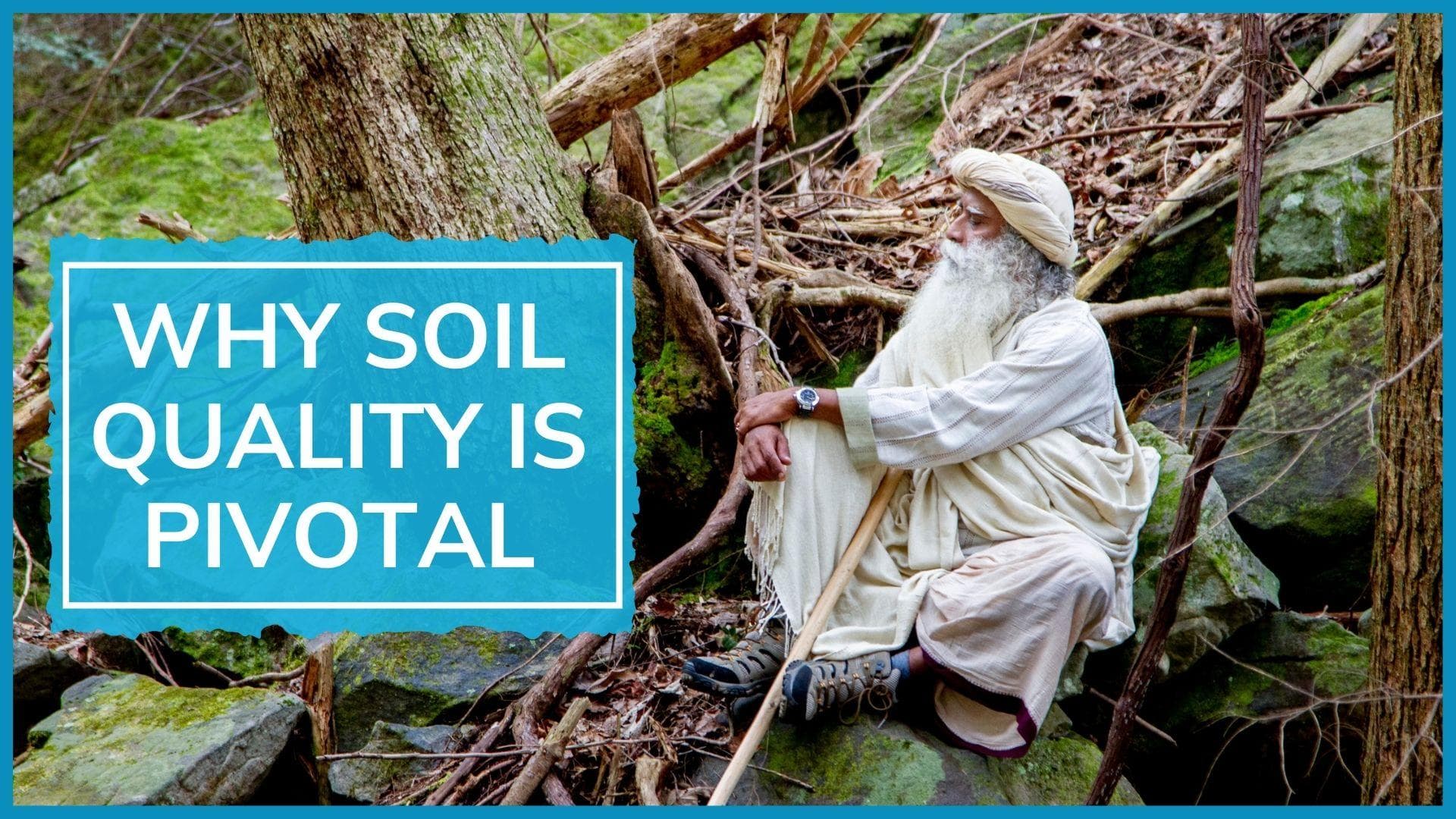 Sadhguru explains how improving soil quality will lead to reduction in irrigation demand