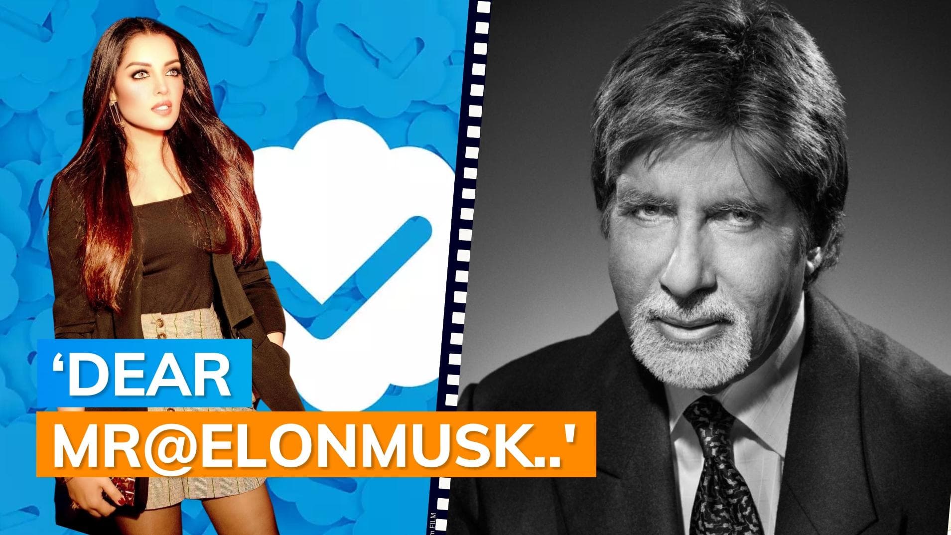 Celina Jaitly pens note for Elon Musk as Amitabh Bachchan tweets he paid for blue tick