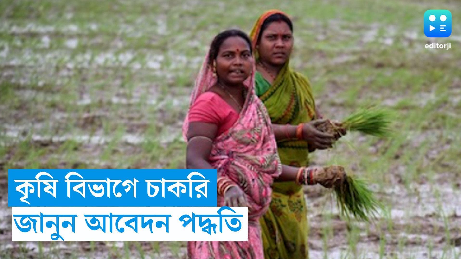 Agriculture Department Recruitment: রাজ্যের কৃষি বিভাগে নিয়োগ, জানুন আবেদন পদ্ধতি 