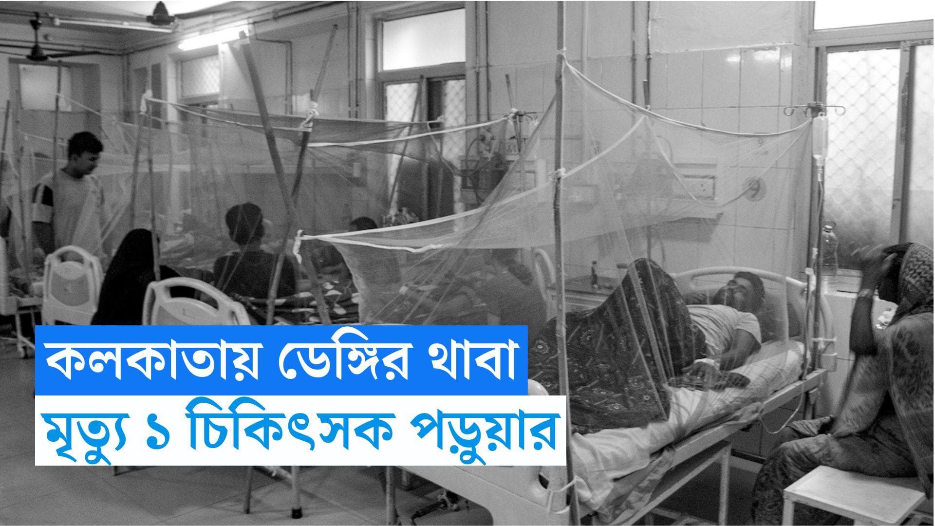 Dengue Death: ফের ডেঙ্গির ভয়াবহ থাবা, মৃত্যু ডাক্তারি পড়ুয়ার 