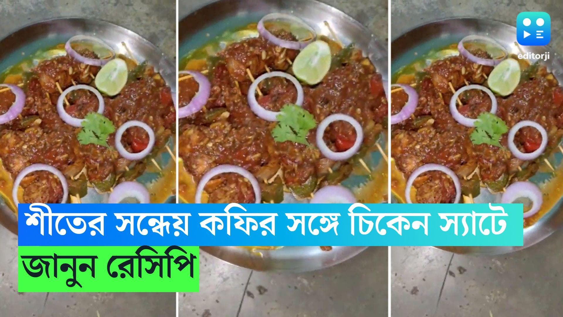 Chicken Satay Recipe : শীতের সন্ধেয় গরম কফির সঙ্গে চিকেন স্যাটে, জেনে নিন রেসিপি