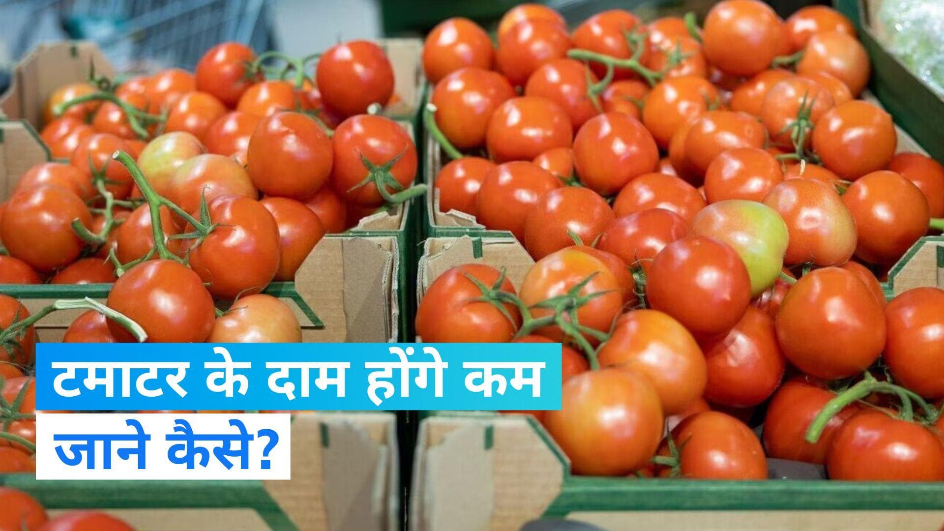Tomato Price Hike: टमाटर के दामों में आएगी गिरावट, जानिए क्या होगी असली वजह