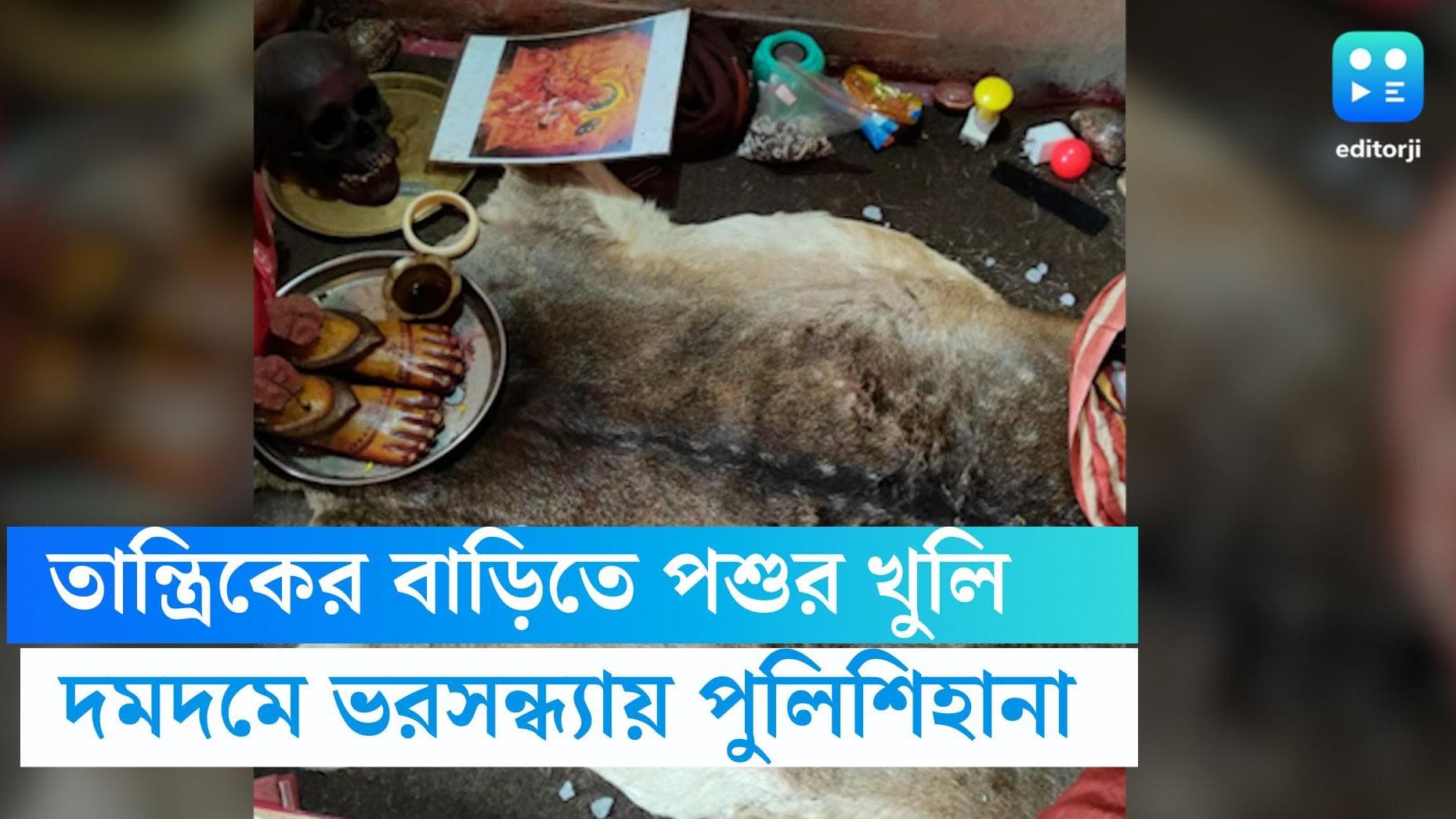 Dumdum News: দমদমে ভরসন্ধ্যায় হানা পুলিশের, তান্ত্রিকের বাড়ি থেকে উদ্ধার হরিণ-বাঘের চামড়া-খুলি, আটক ৩