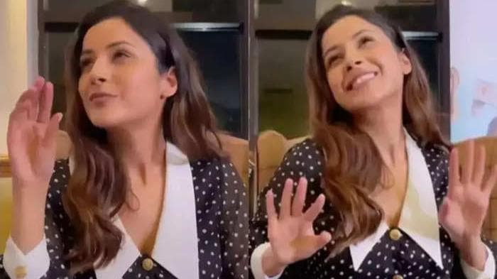 Honsla Rakh : शहनाज गिल का प्रमोशनल वीडियो आया सामने, एक्ट्रेस को देख खुश हुए फैंस